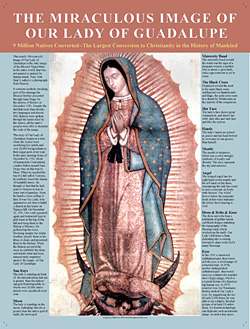 Miraculous Image of Our Lady of Guadalupe Poster